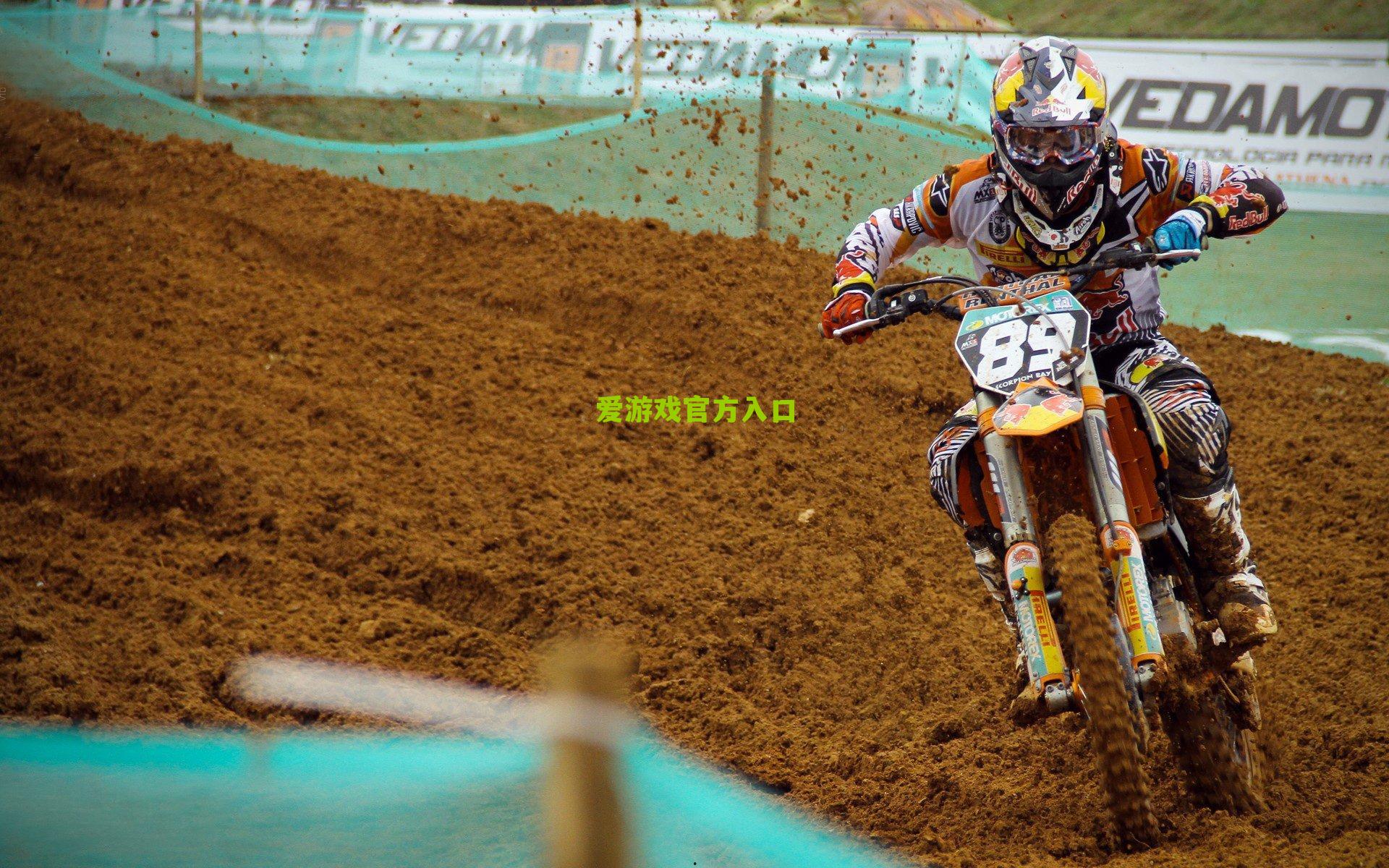 塞尔维亚足协确认主帅斯托伊科维奇请辞 欧洲杯失利成导火索 足协紧急启动选帅程序